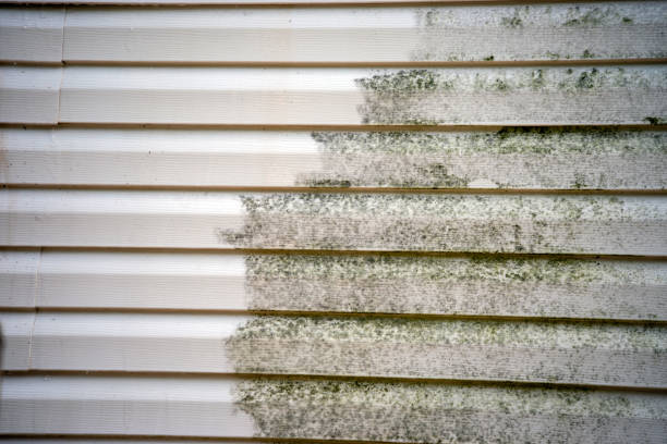 How To Choose The Right Materials for Your Siding Installation in 'Coalfield, TN