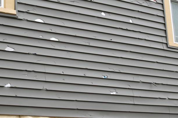 Historical Building Siding Restoration in Coalfield, TN