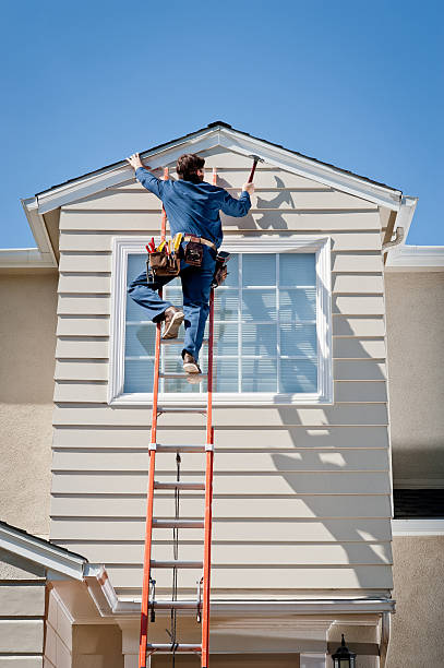 Best Brick Veneer Siding  in Coalfield, TN